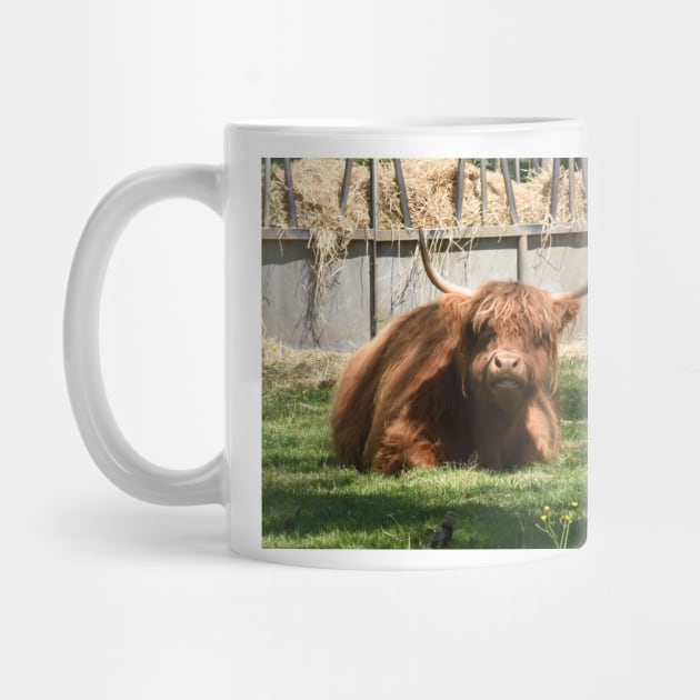 Highland cow by goldyart